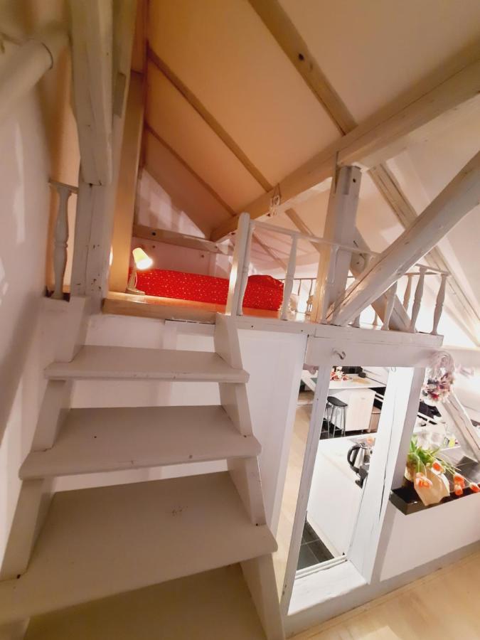 Apartament Deki & Kolet Belgrad Zewnętrze zdjęcie