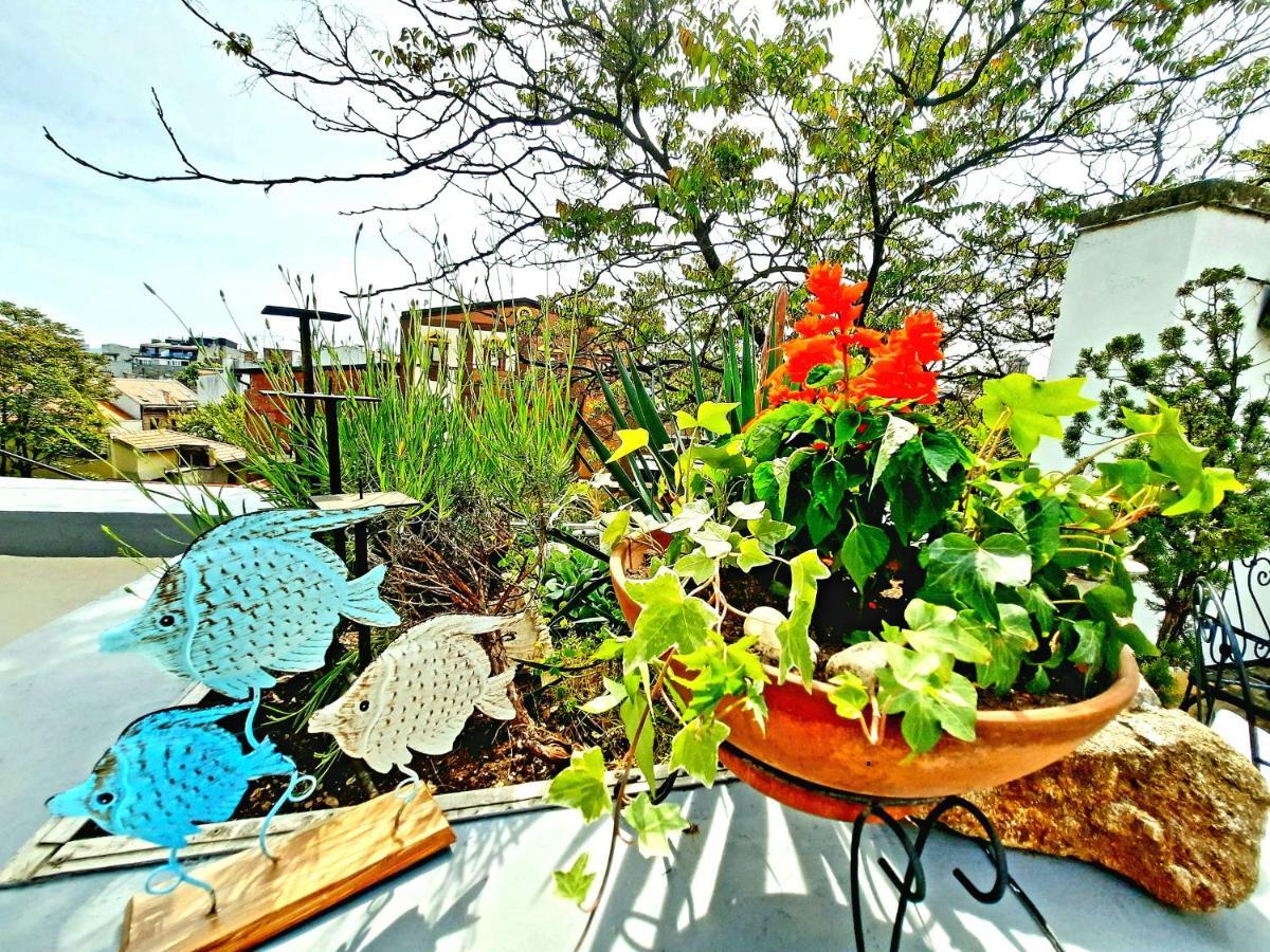 Apartament Deki & Kolet Belgrad Zewnętrze zdjęcie