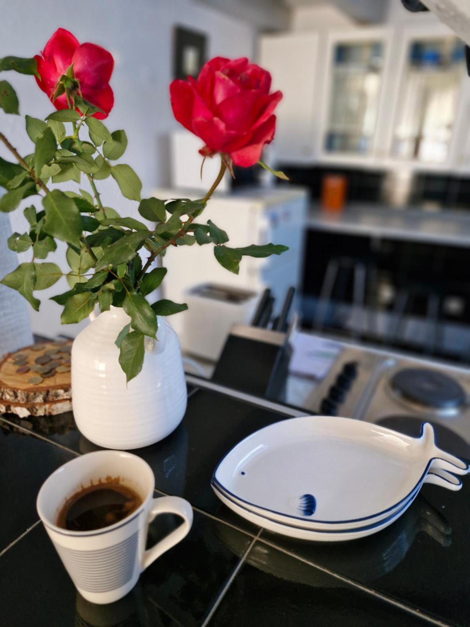 Apartament Deki & Kolet Belgrad Zewnętrze zdjęcie