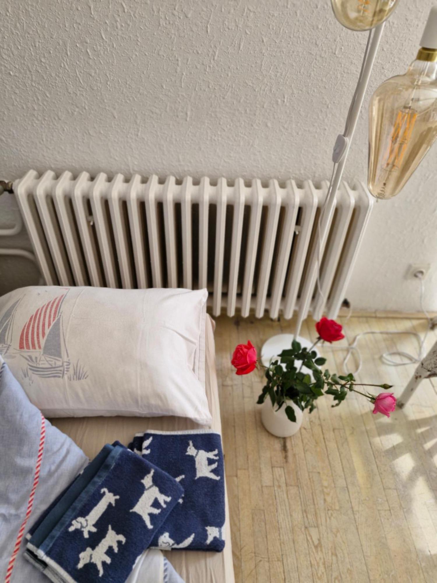 Apartament Deki & Kolet Belgrad Zewnętrze zdjęcie