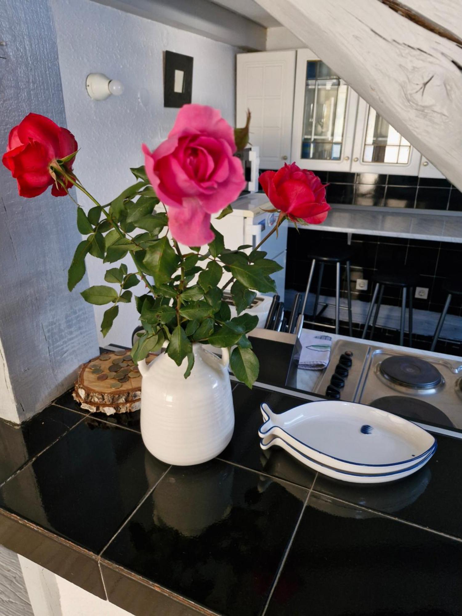 Apartament Deki & Kolet Belgrad Zewnętrze zdjęcie